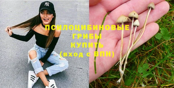 соль курить ск Переславль-Залесский
